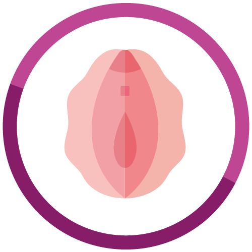 Vaginoplastia Herse